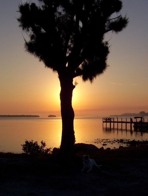 Anna Maria, FL: Sunset, Anna Maria Island, FL, 2004