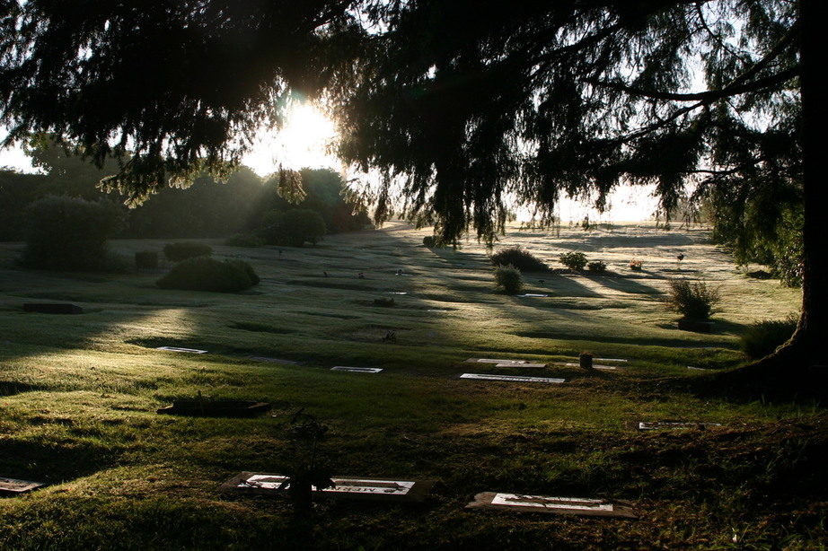 Long Beach, WA: morning fog at Longbeach cemetery