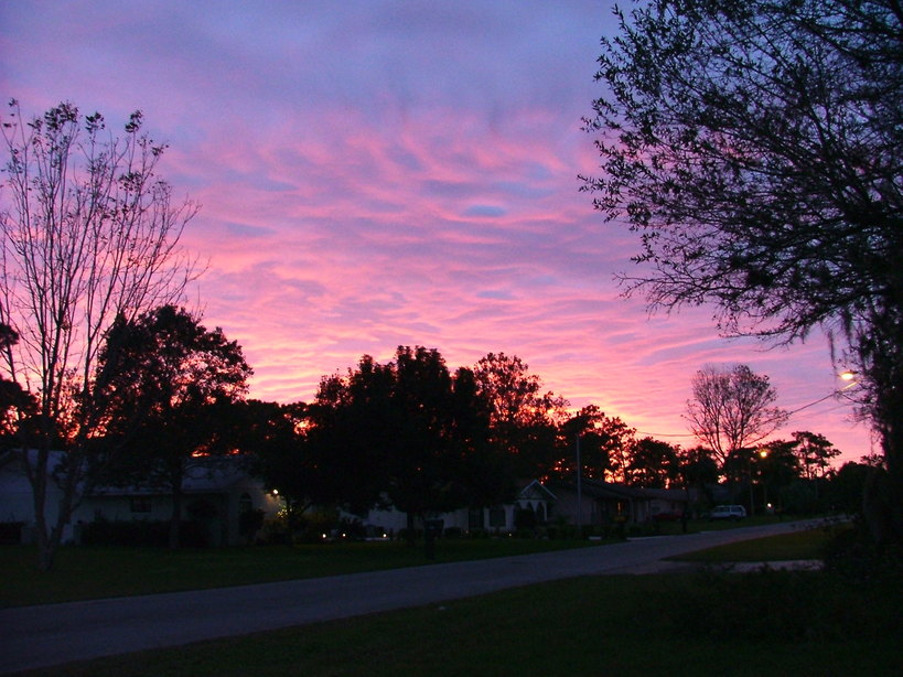 Homosassa Springs, FL: The Sunset viewed from Periwinkle Ln in Homosassa