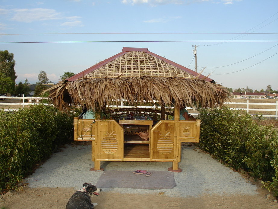 Bonadelle Ranchos-Madera Ranchos, CA: A Tiki Hut on Anaconda Road