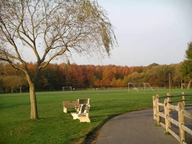 Oakhurst, NJ: Joe Palaia Park - Fall