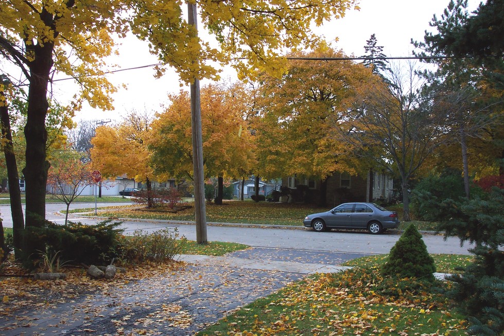 Lombard, IL: Typical Autumn Day in Lombard