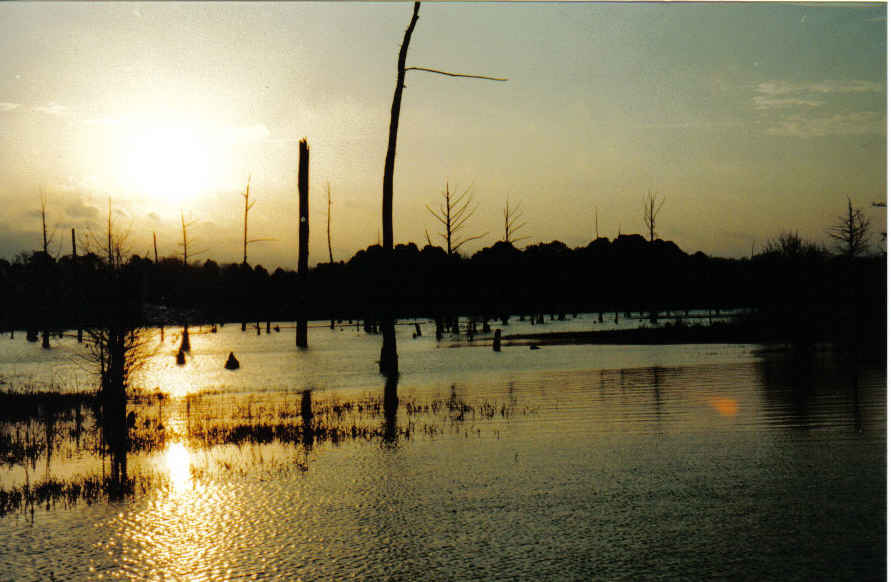 Ashdown, AR: The Peace of Lonliness ~ Jan 97 - Lake Millwood in the evening Ashdown AR