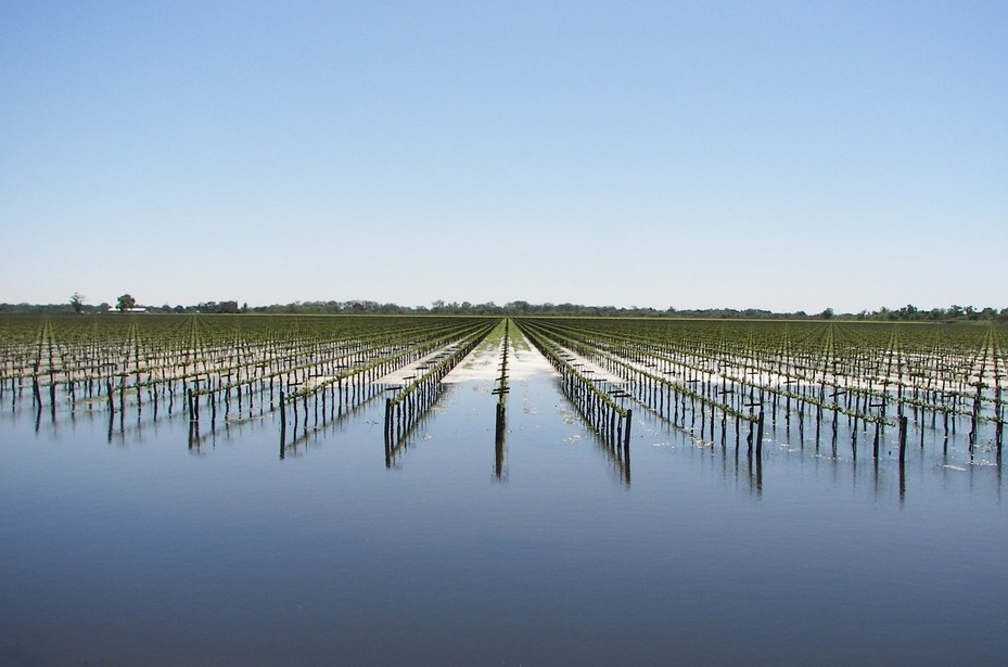 Manteca, CA: Floods of 2006