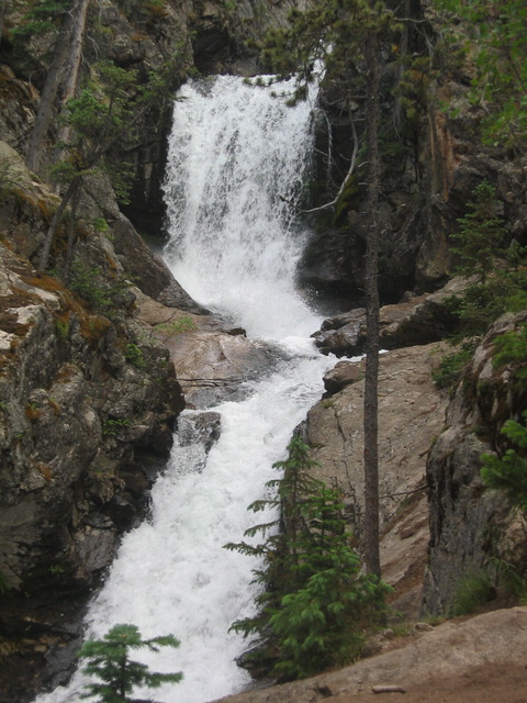 Buena Vista, CO : DEER VALLEY RANCH photo, picture, image (Colorado) at