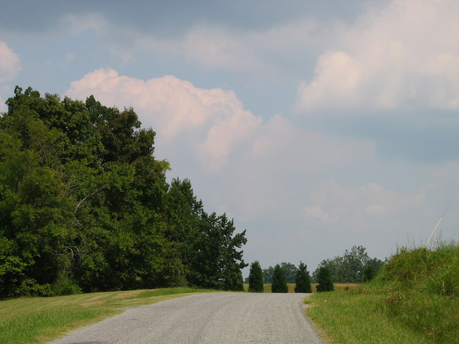 York, SC: Back Road - York, SC