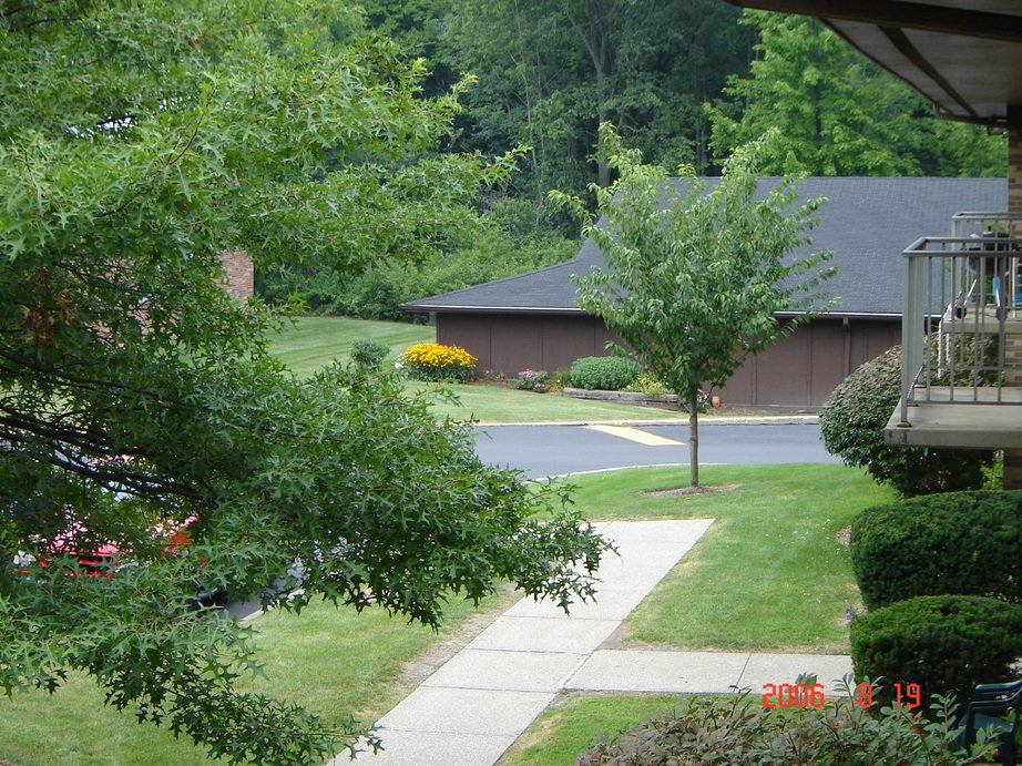 Solon, OH: A typical view out of my Solon Park Apartment