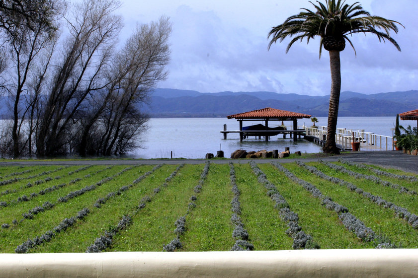 Clearlake, CA: april-winery2