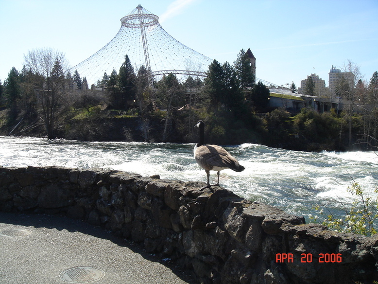 Spokane, WA: river side park Spokane,Washington