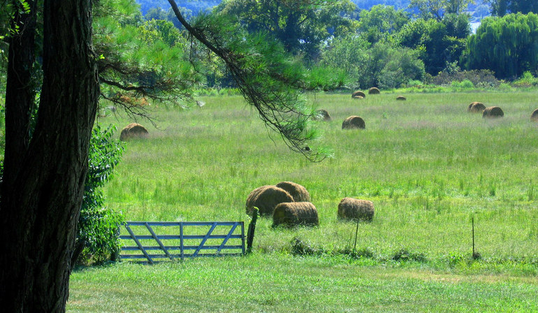 Richmond, VA: Farm along the James River near Richmond, VA