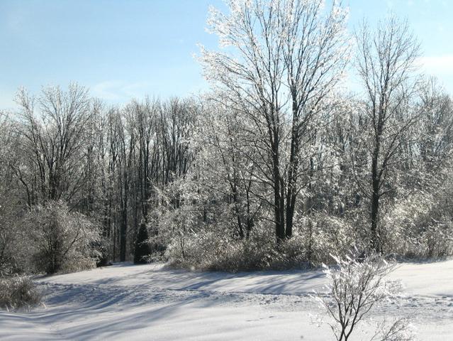 Torrington, CT: After the Ice Storm