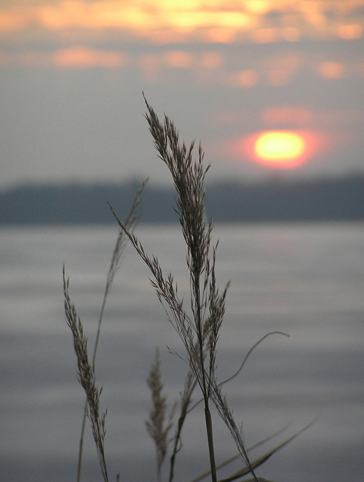 Packwaukee, WI: Buffalo Lake in Packwaukee