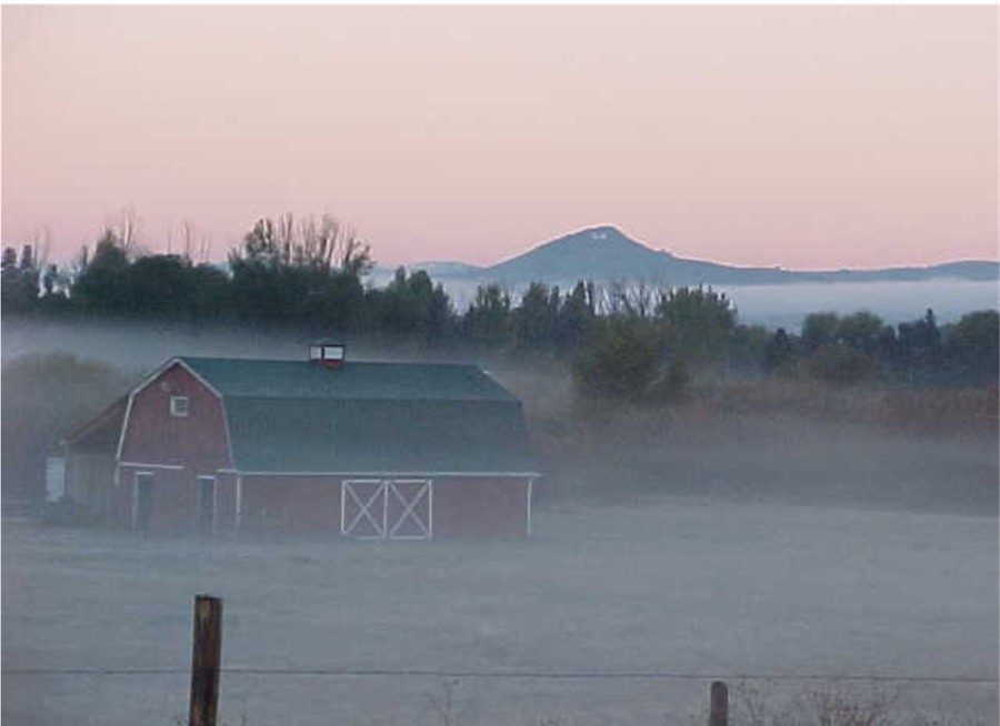 Butte-Silver Bow, MT: The "BIG M" early morning mist