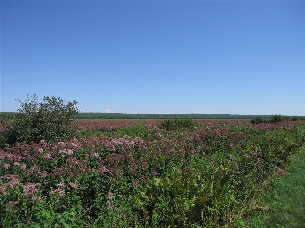 Wisconsin Rapids, WI Mead Rec area North of Wisconsin Rapids photo
