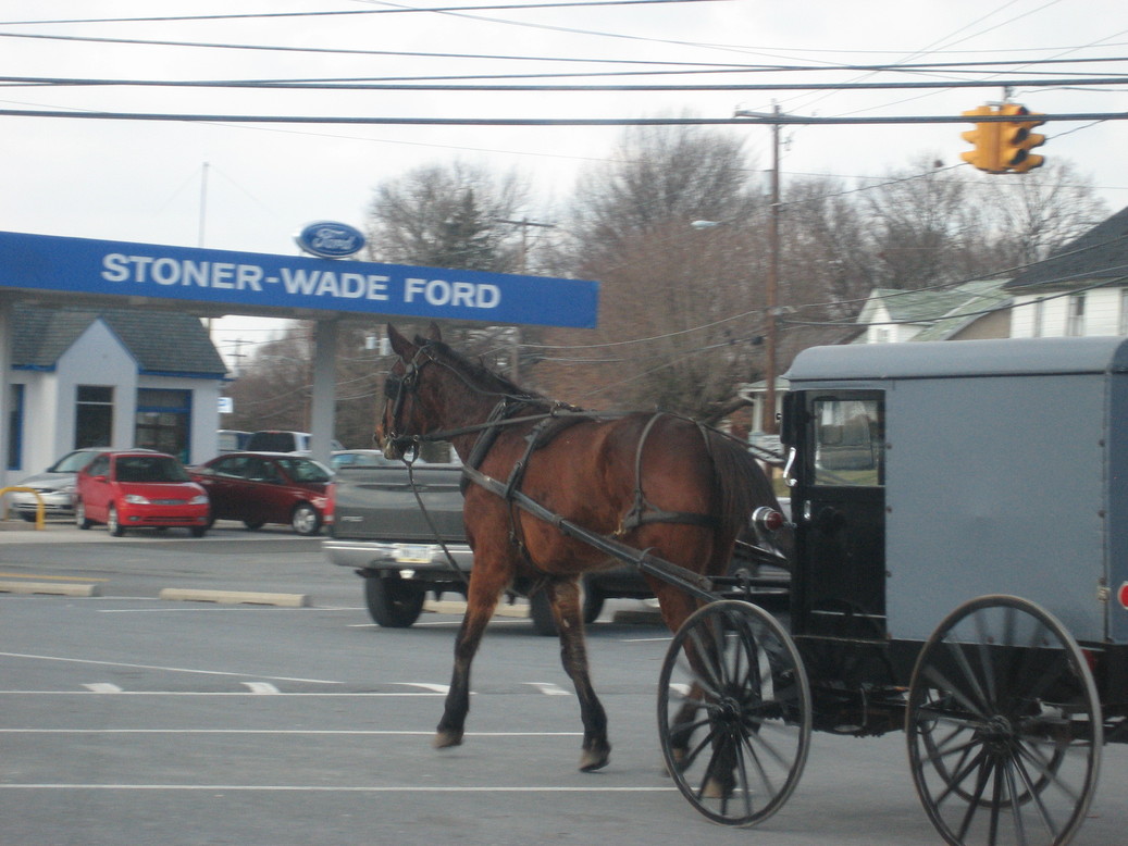 Quarryville, PA: Just doing some shopping in Quarrville