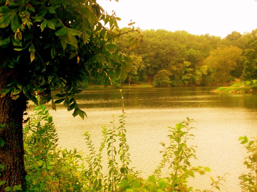 Clinton, IL: Weldon Springs State Park-the lake