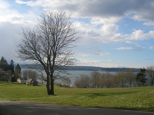 Kingston, WA: Overlooking the Kingston Marina Park