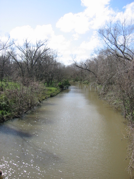 Sugar Land, TX: Sugar Land creek and trees in the winter