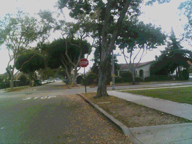 South Gate, CA: Picture of South Gate, near Liberty and San Juan Ave.