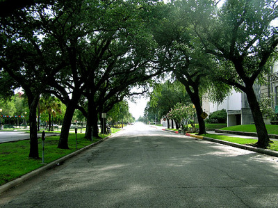Galveston, TX: rosenberg avenue, location of the famous Rosenberg Library Galvestton