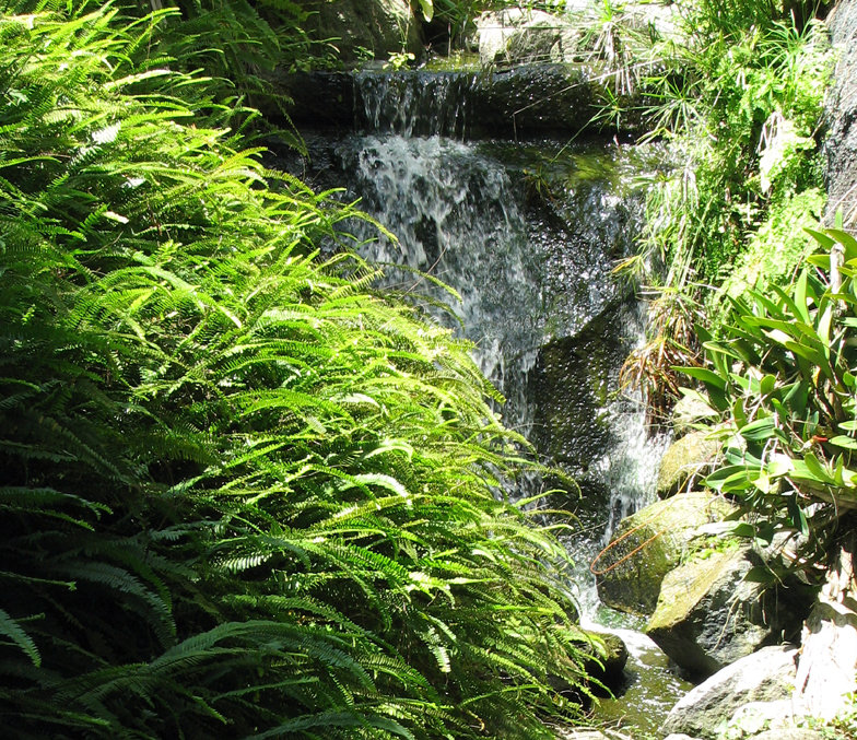 Encinitas, CA: Waterfall at Quail Botanical Gardens in Encinitas