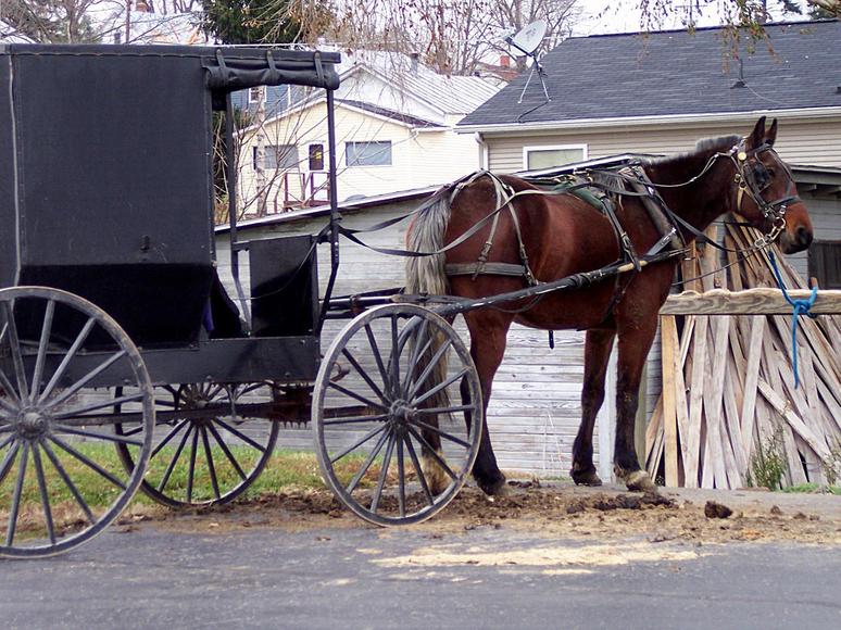 Fredericktown, OH: Buggy and Horse waiting at the grocery store in the parking lot.