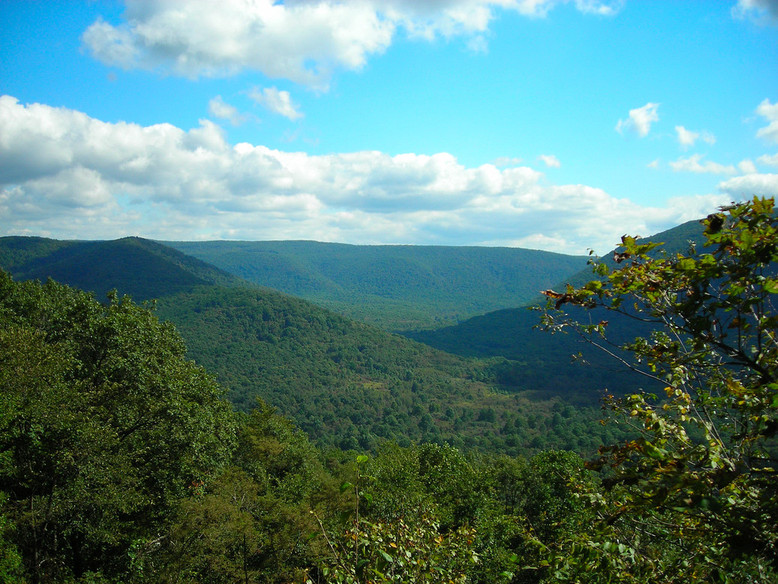 Ohiopyle, PA: View from SugarLoaf Road lookout