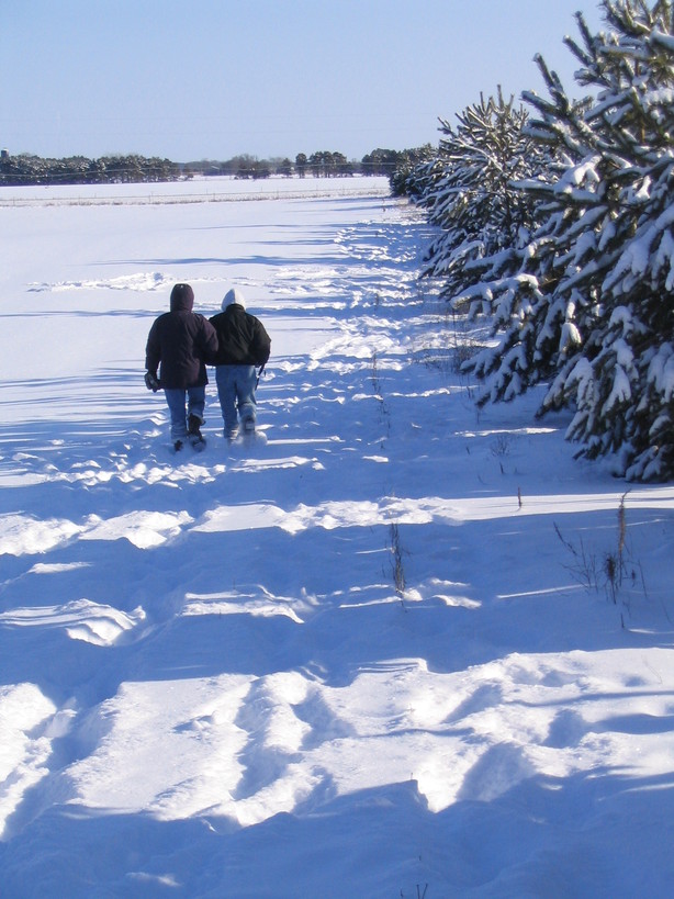 Rice, MN: snowy path