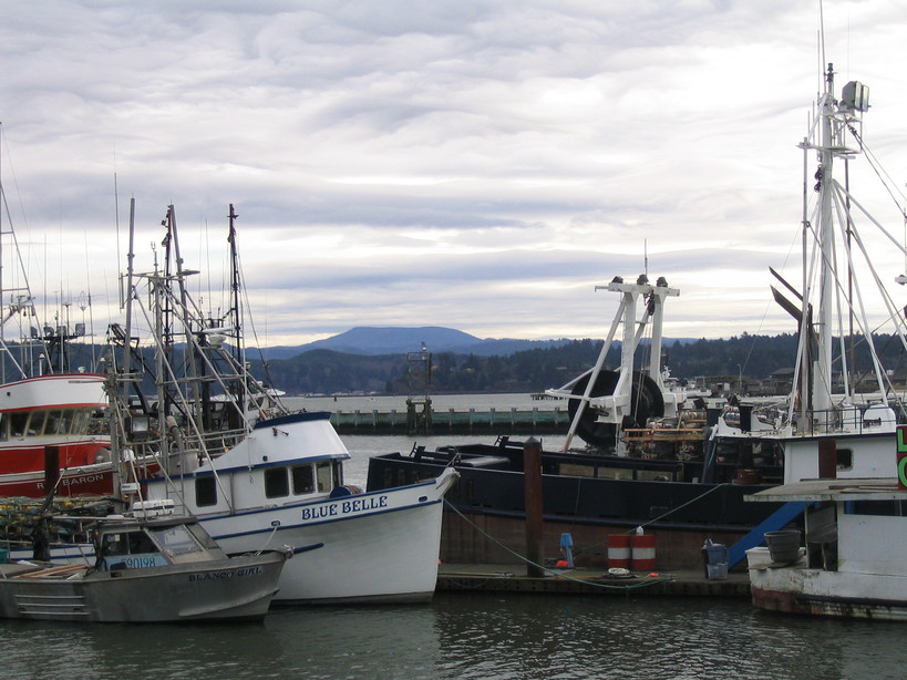 Newport, OR: Boats at Bay
