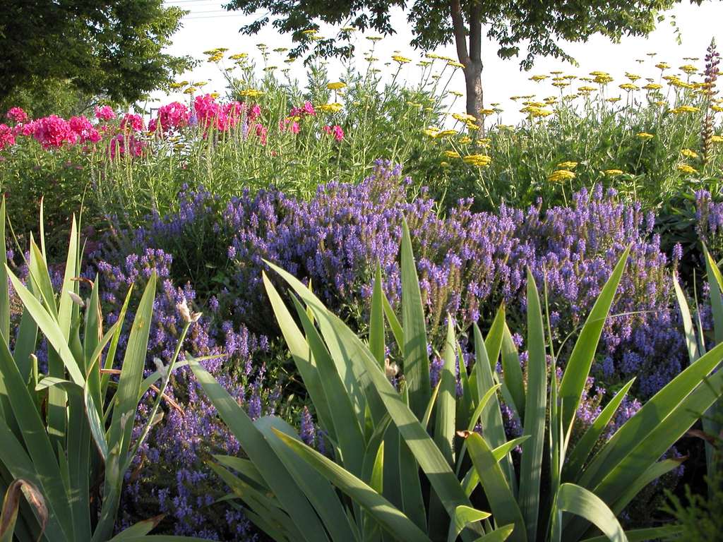 Arcadia, WI: Flowers Memorial Park Arcadia, WI