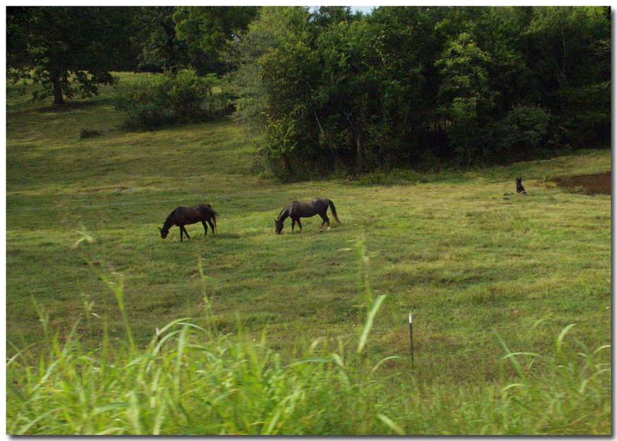 Ravenden, AR: Here is what Ravenden and Ravenden Springs looked like. All county.