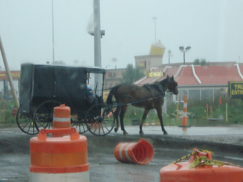 Lodi, OH: Amish in Lodi