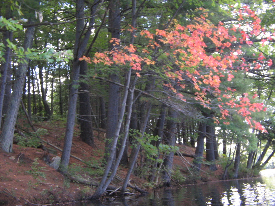 Alton, NH: Along the Merry Meeting River