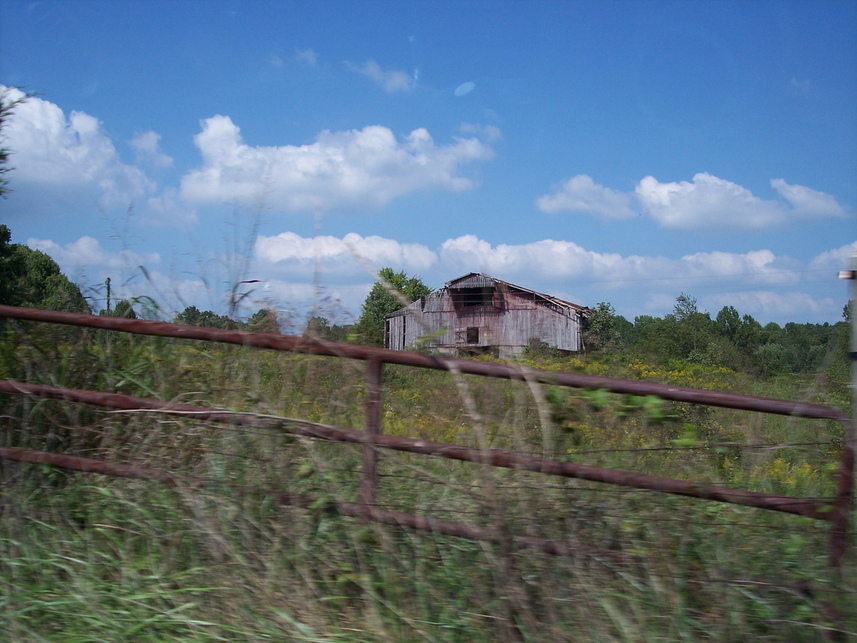 Gamaliel, KY: Farm Outside of Gamaliel, Kentucky