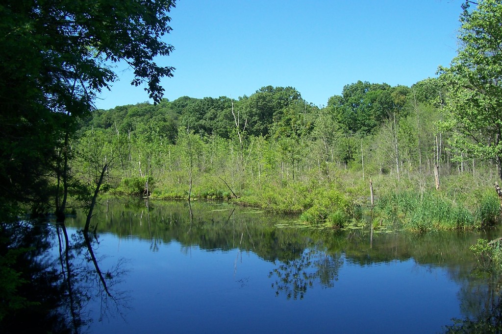 Pawling, NY: Zaengle Preserve, Great Swamp River.