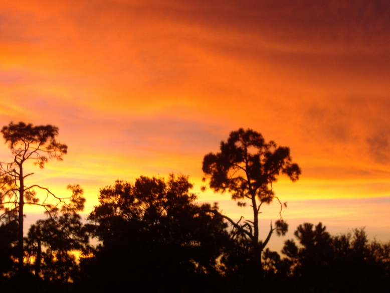San Carlos Park, FL: I live on san carlos golf couse and this is a photo of the sunset.