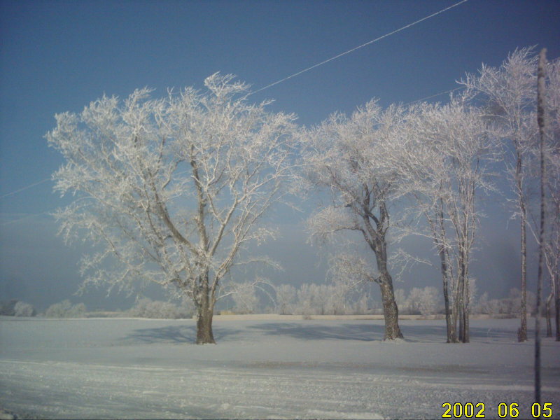 Cortland, IL: Our Beautiful and tranquil winter