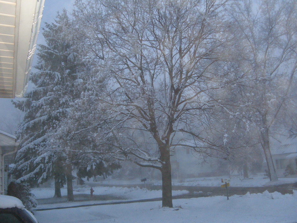 Willow Springs Il January 1 2006 Winter Scene On Mound St Photo Picture Image Illinois