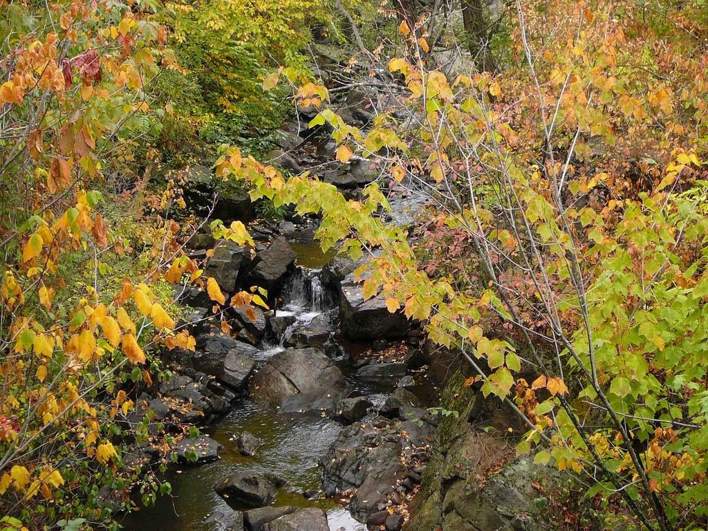Duluth, MN: Miller Creek In The Fall of 2006
