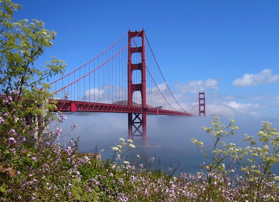 San Francisco, CA: Fog over the Golden Gate