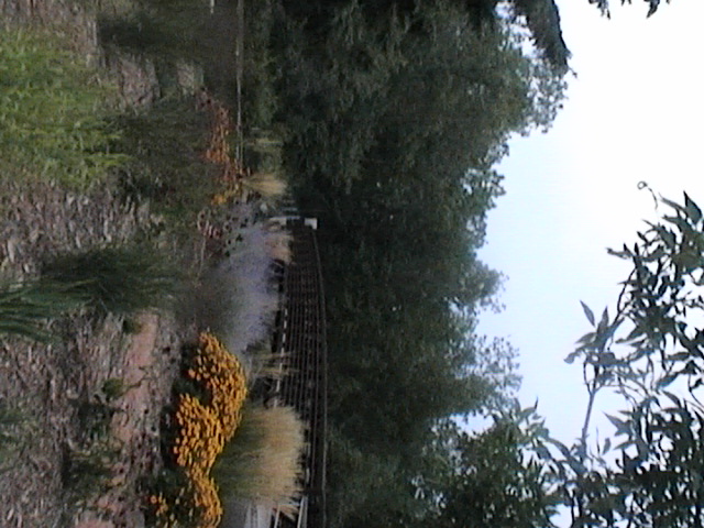 Medford, WI: Floral beds on path in Medford Park, taken September 2006