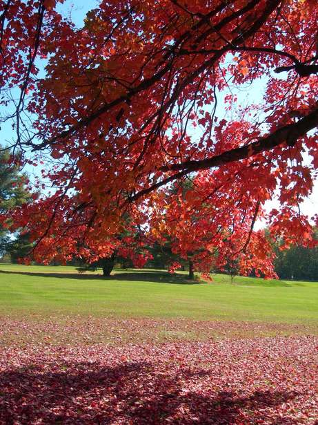 Cleveland, NY: Autumn at Cleveland Golf Course
