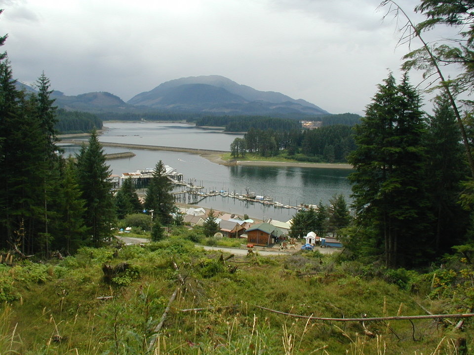 Hoonah, AK: Looking into Hoonah Harbor - Downtown view from hill top