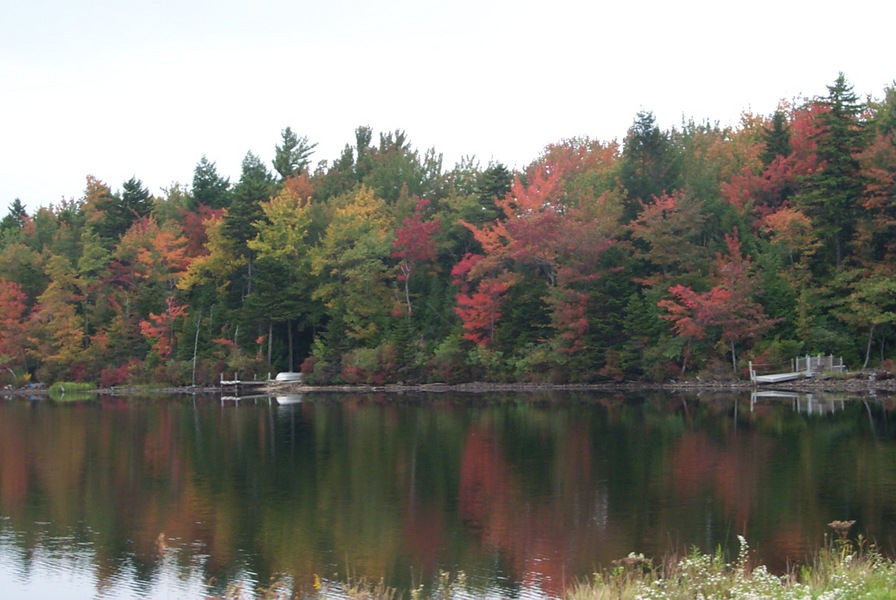 Mount Pocono, PA: Colors Of the Fall In The Pocono Area
