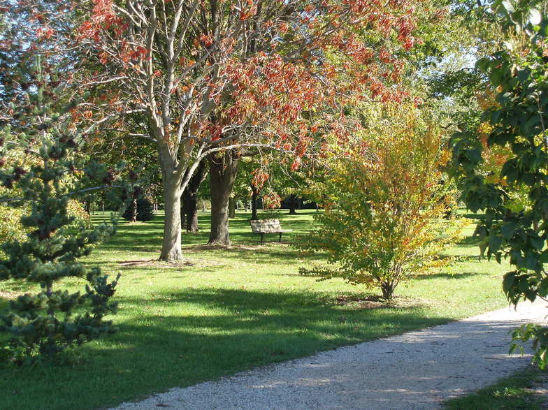 Delavan, WI: Paul Lange Arboretum