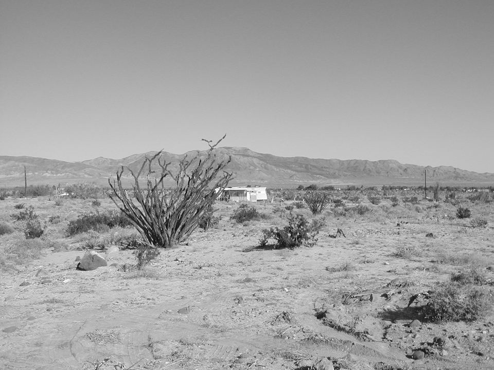 Ocotillo, CA : Ocotillo, California photo, picture, image (California ...