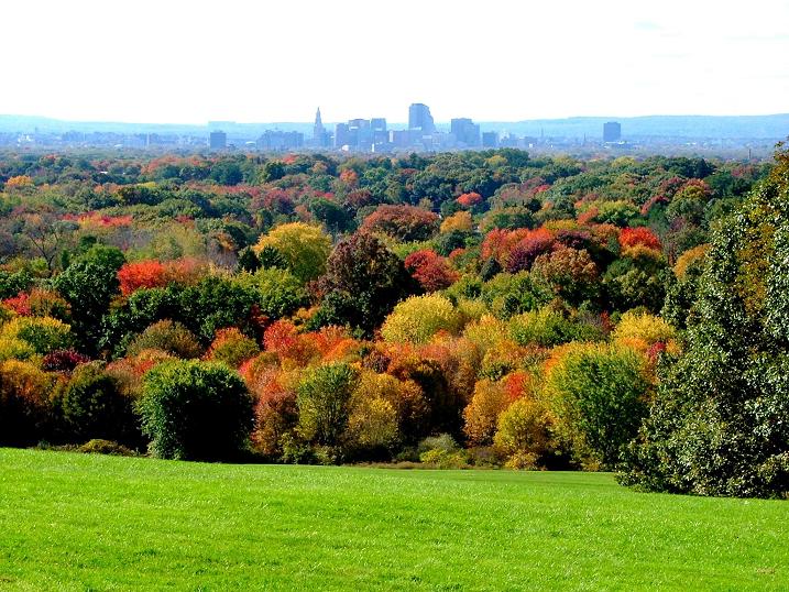 Hartford, CT: Hartford in Fall