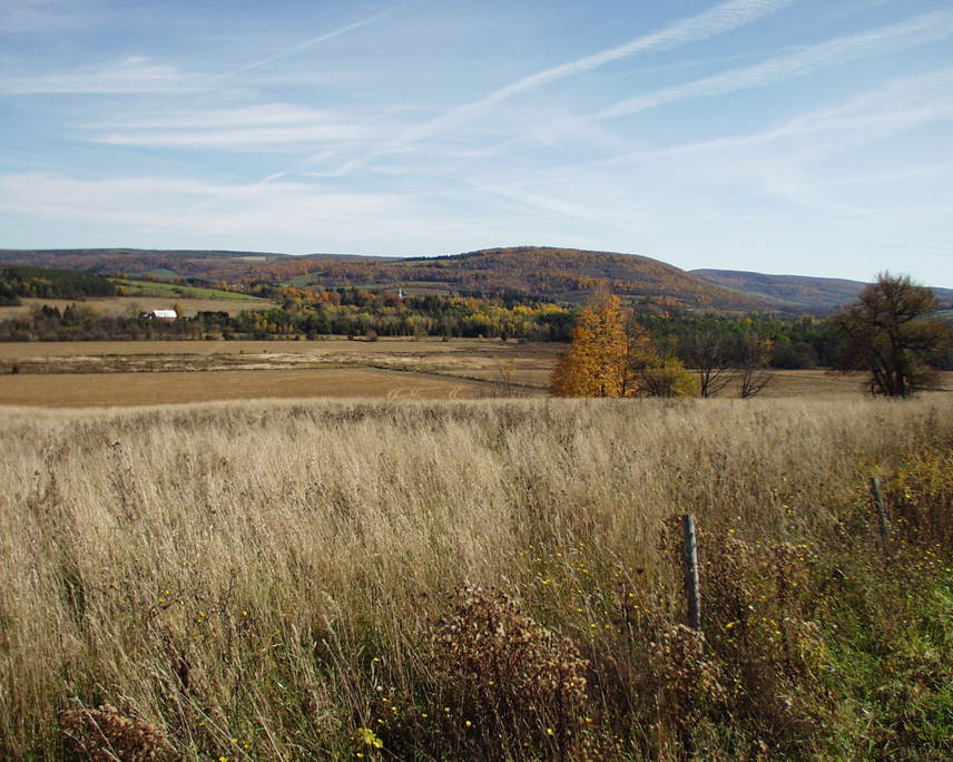 Fabius, NY: Town of Fabius in the fall from Rowley Jerome Rd