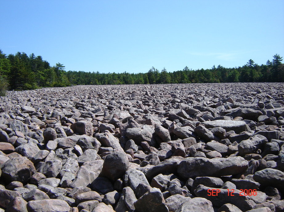 White Haven, PA: Boulder Field (hickory run state park)
