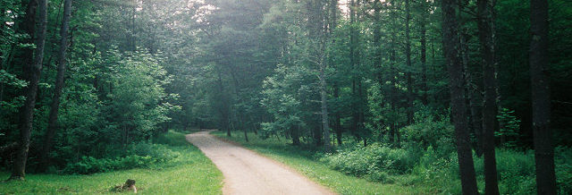 Saco, ME: Path in Saco, ME